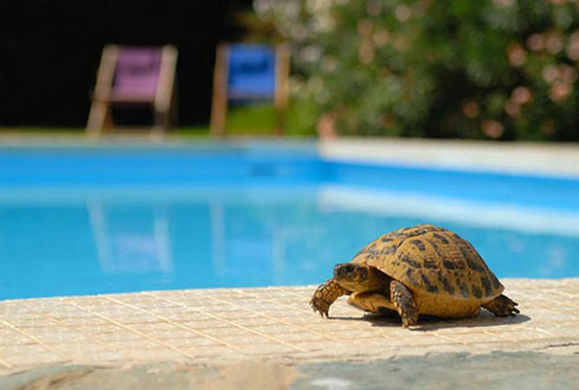 Sun Beach Αζάτσιο Εξωτερικό φωτογραφία